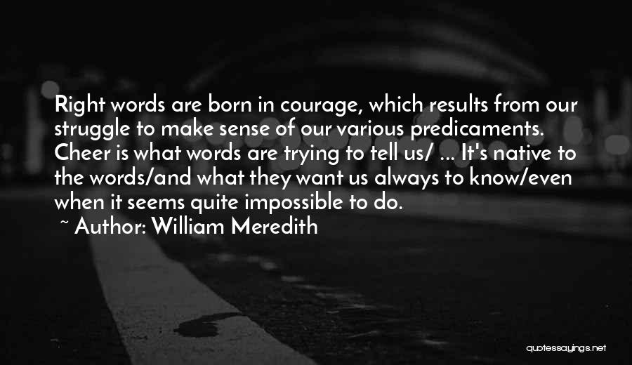 What Seems Impossible Quotes By William Meredith