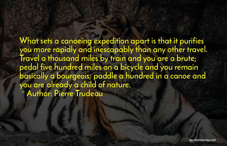 What Sets You Apart Quotes By Pierre Trudeau