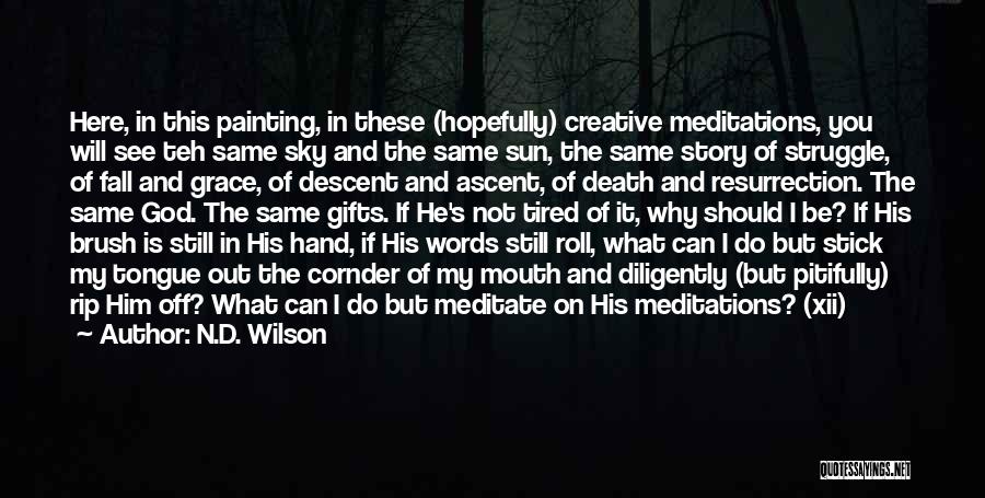 What Should I Do Quotes By N.D. Wilson