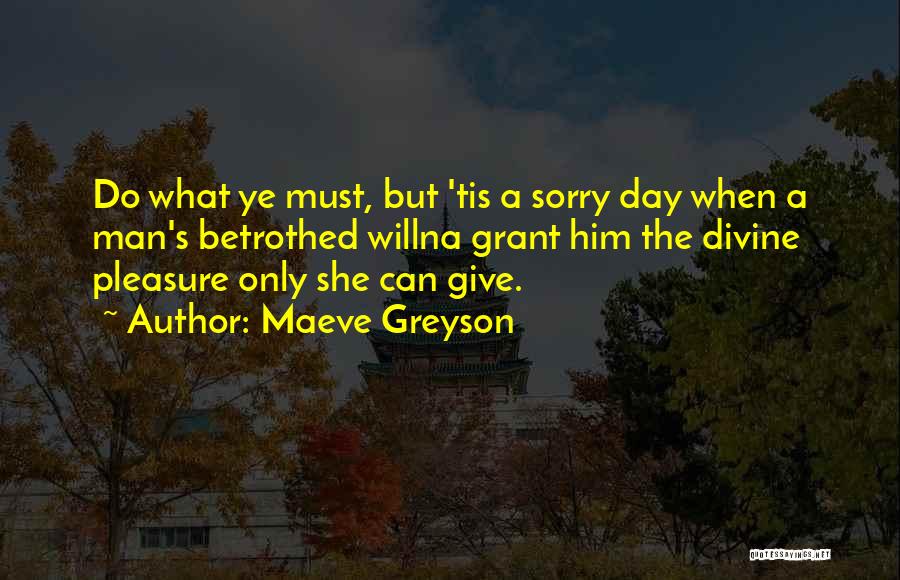 What Sorry Can Do Quotes By Maeve Greyson