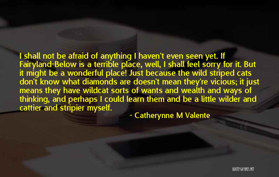 What Sorry Means Quotes By Catherynne M Valente