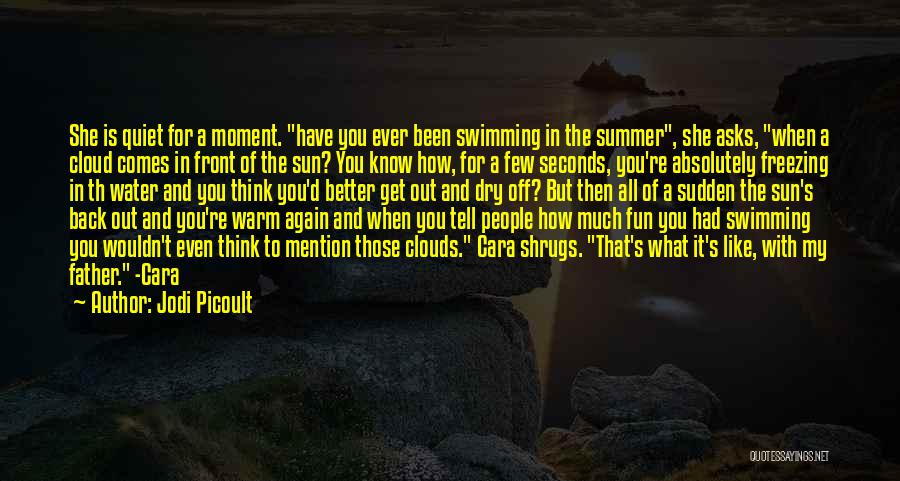 What Summer Is For Quotes By Jodi Picoult