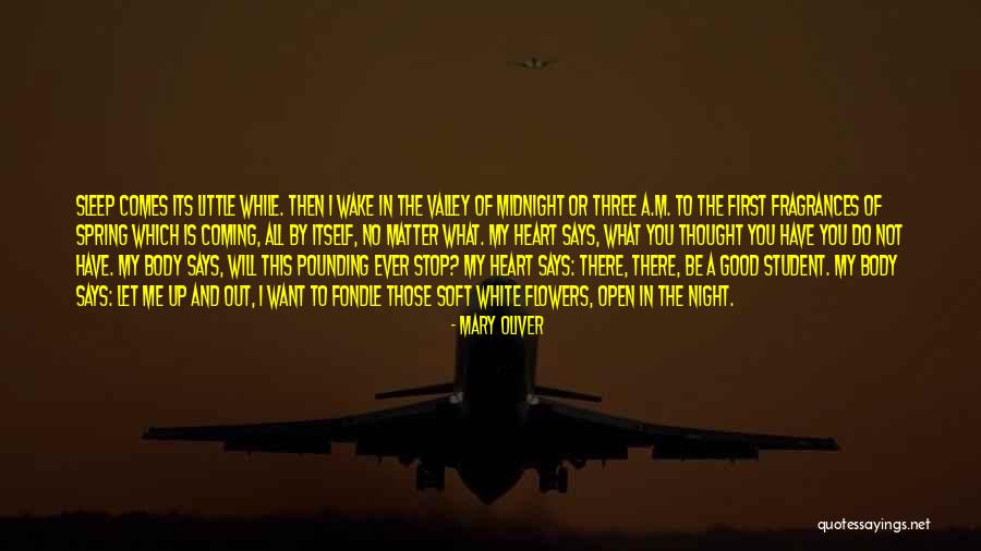 What The Heart Says Quotes By Mary Oliver What The Heart Says Quotes By Mary Oliver