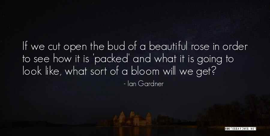 What The Quotes By Ian Gardner What The Quotes By Ian Gardner