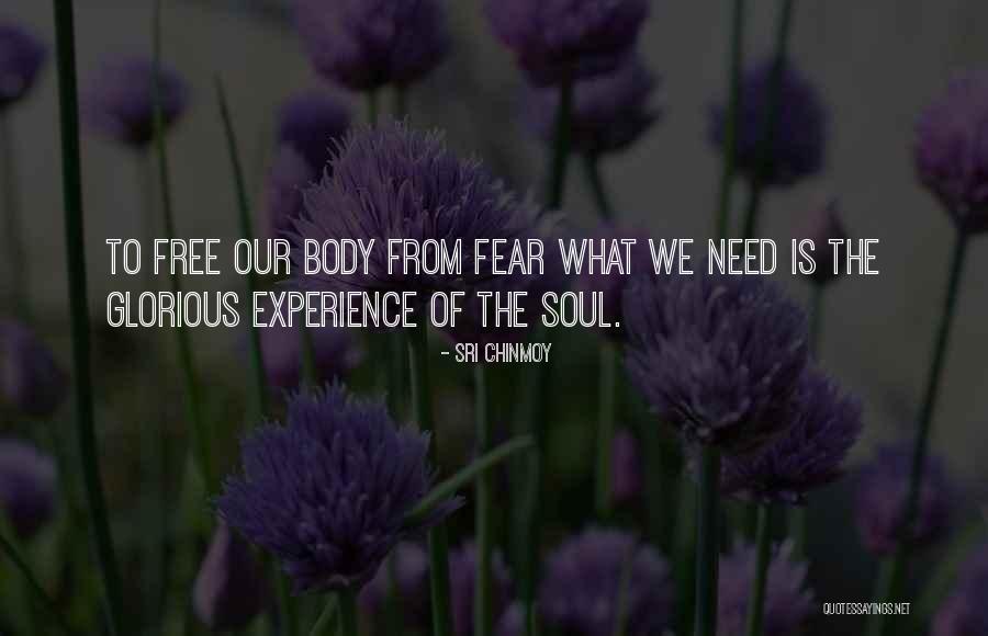 What The Soul Is Quotes By Sri Chinmoy