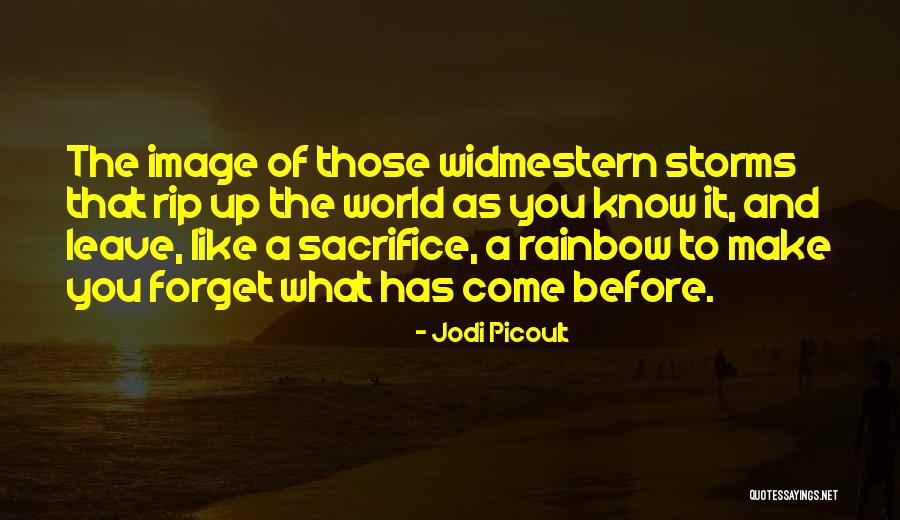 What The World Has Come To Quotes By Jodi Picoult