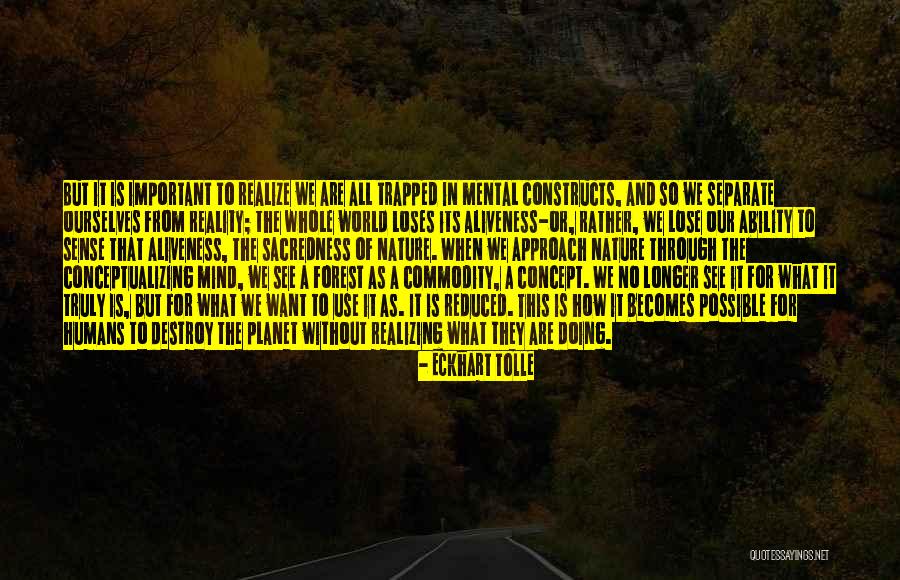 What They Truly Are Quotes By Eckhart Tolle What They Truly Are Quotes By Eckhart Tolle