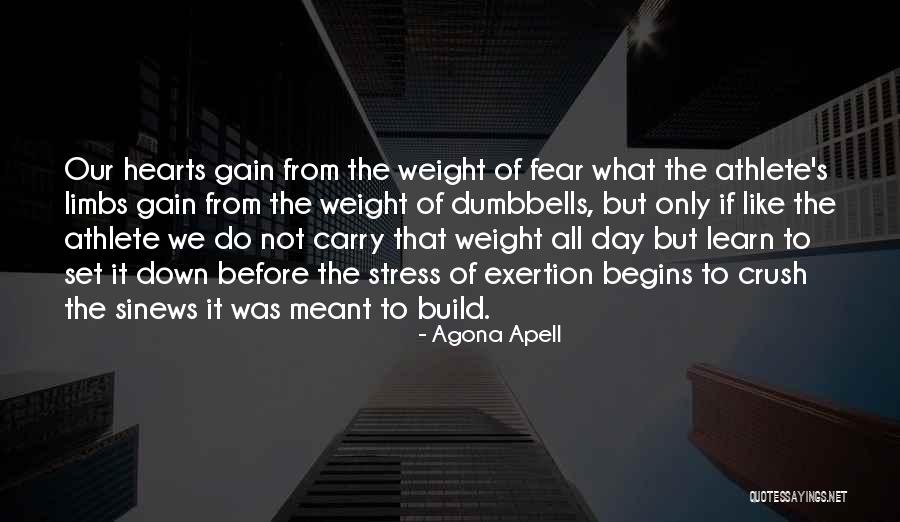 What To Do What To Do Quote Quotes By Agona Apell What To Do What To Do Quote Quotes By Agona Apell