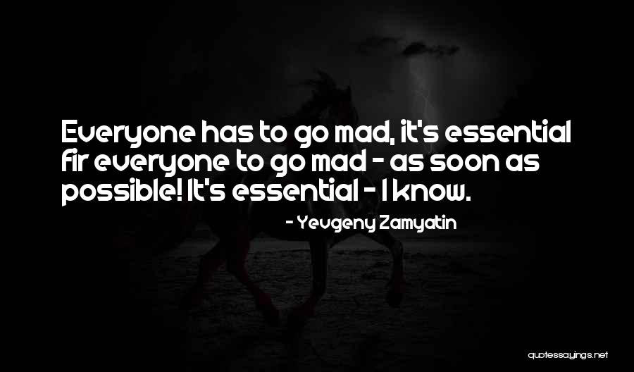 What To Say To Cheaters Quotes By Yevgeny Zamyatin What To Say To Cheaters Quotes By Yevgeny Zamyatin