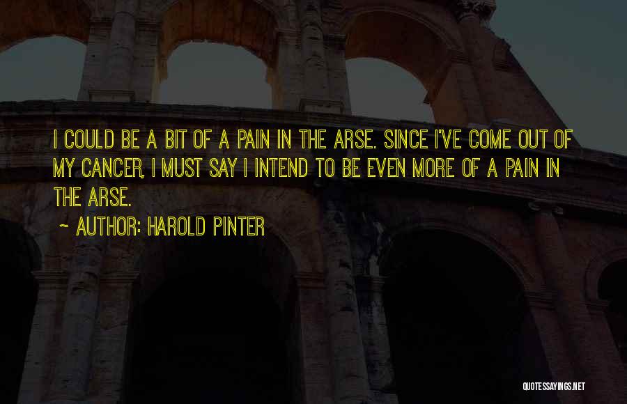 What To Say To Someone With Cancer Quotes By Harold Pinter