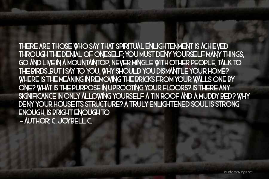 What To Say When You Talk To Yourself Quotes By C. JoyBell C.
