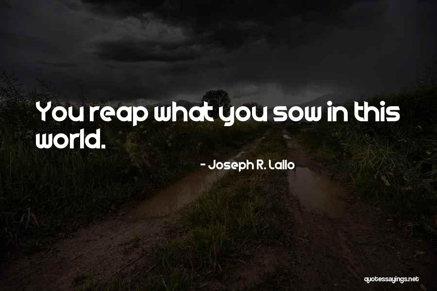 What U Sow Is What U Reap Quotes By Joseph R. Lallo What U Sow Is What U Reap Quotes By Joseph R. Lallo