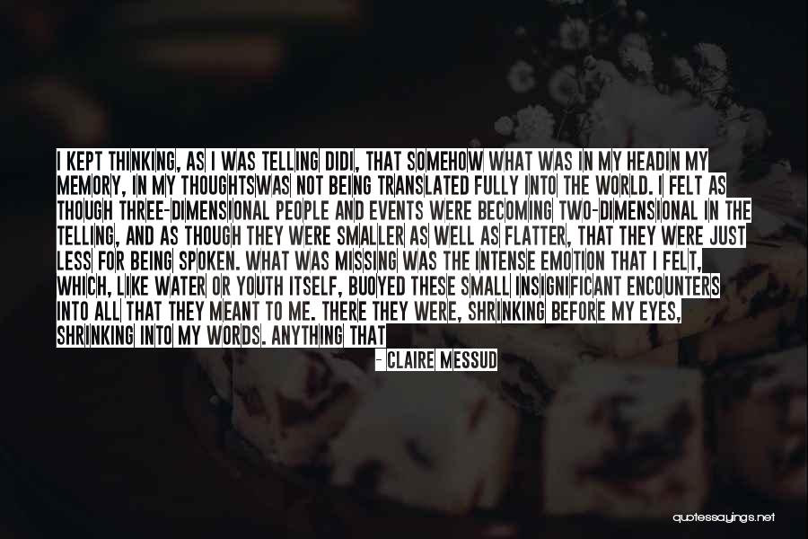 What Was Meant To Be Quotes By Claire Messud What Was Meant To Be Quotes By Claire Messud