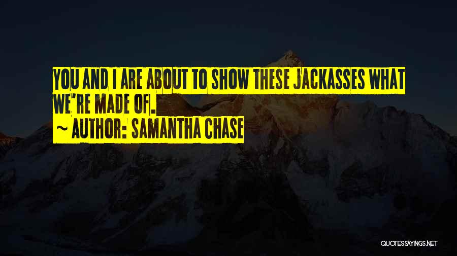 What We Are Made Of Quotes By Samantha Chase