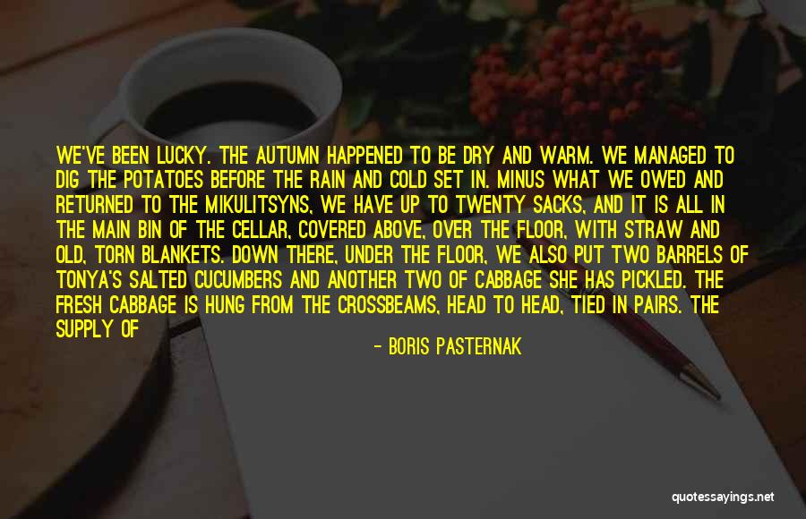 What We Buried Quotes By Boris Pasternak