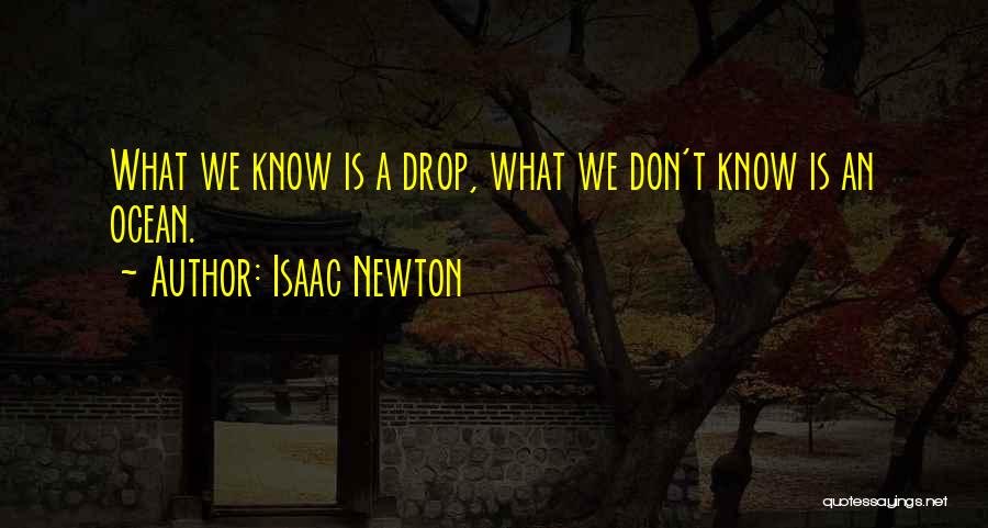 What We Don't Know Quotes By Isaac Newton