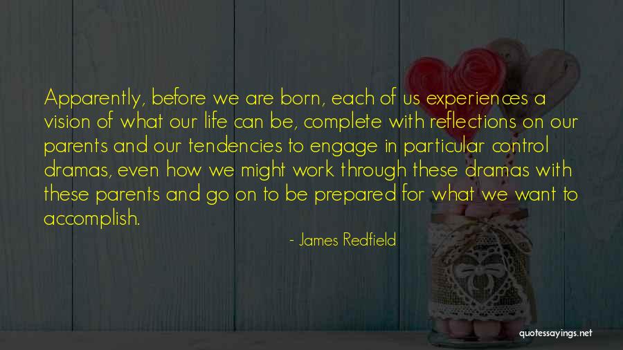 What We Go Through In Life Quotes By James Redfield What We Go Through In Life Quotes By James Redfield