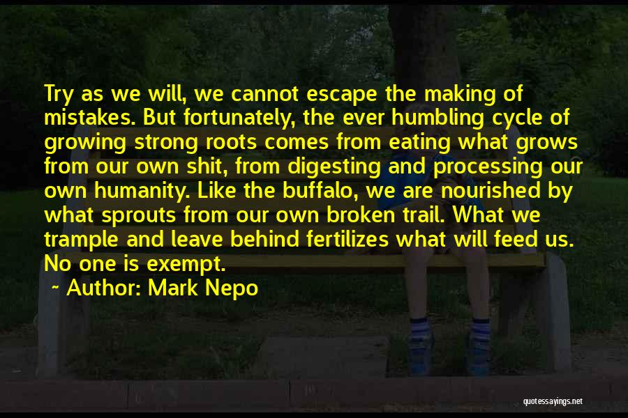 What We Leave Behind Quotes By Mark Nepo