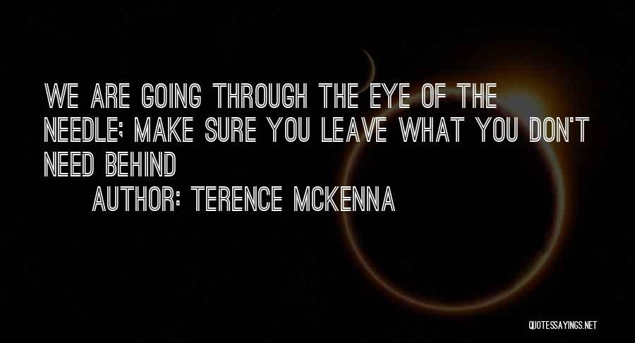What We Leave Behind Quotes By Terence McKenna