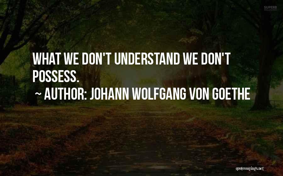 What We Possess Quotes By Johann Wolfgang Von Goethe