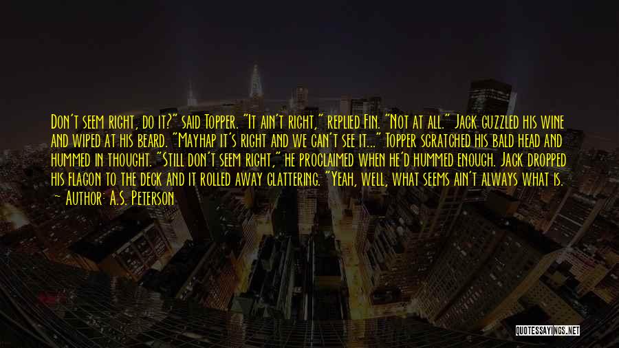 What We See Is Not What It Seems Quotes By A.S. Peterson