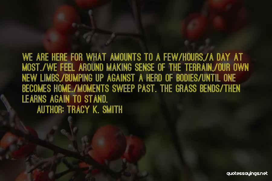 What We Stand For Quotes By Tracy K. Smith