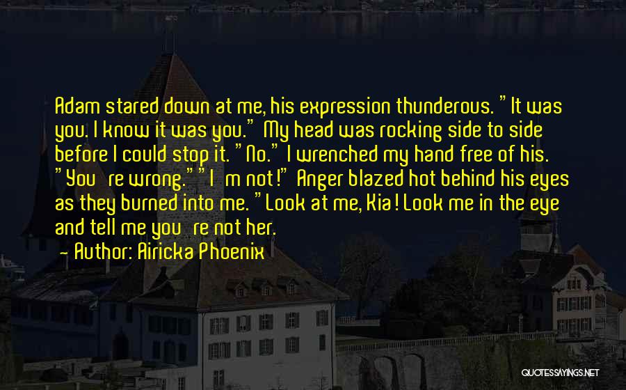 What Went Wrong Love Quotes By Airicka Phoenix