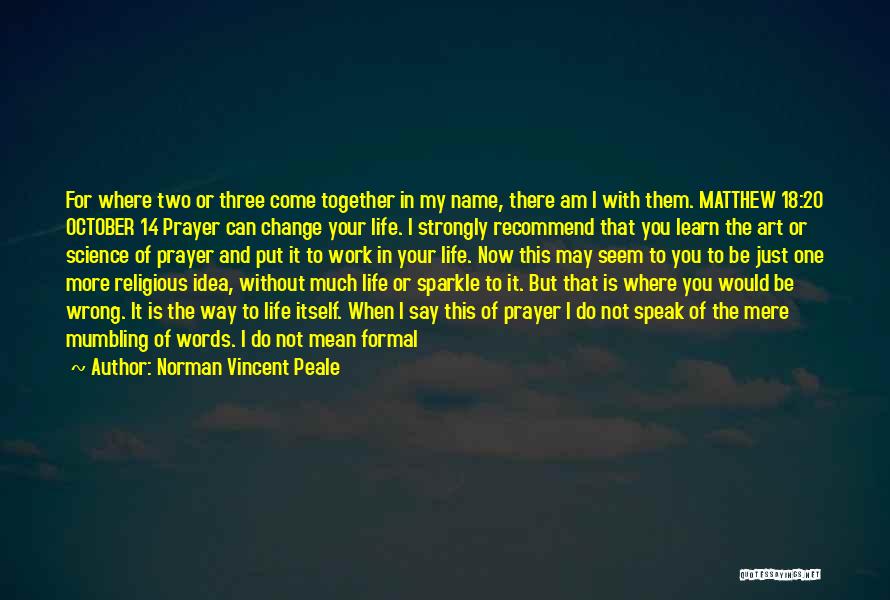 What Would Life Be Without You Quotes By Norman Vincent Peale