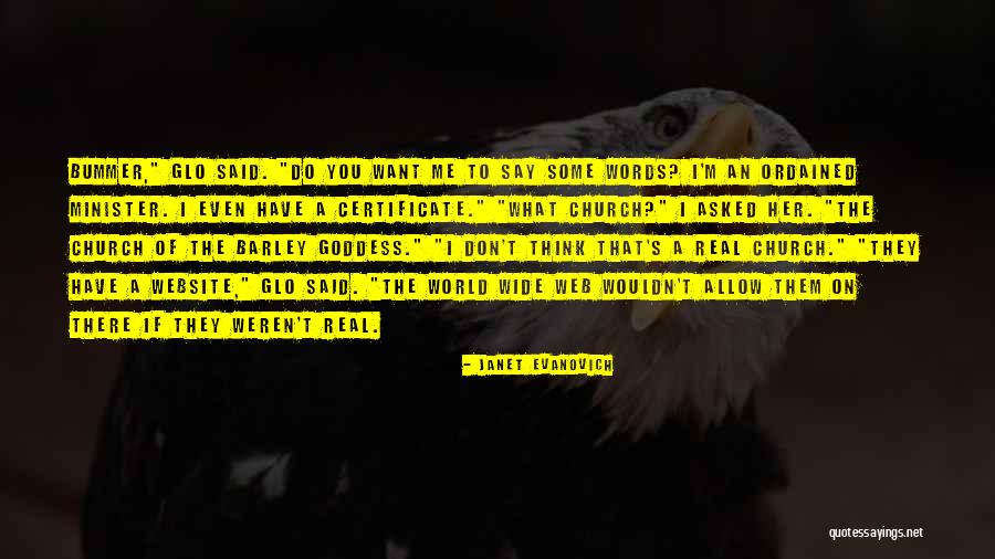 What You Allow Quotes By Janet Evanovich What You Allow Quotes By Janet Evanovich