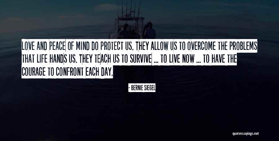 What You Allow What You Confront Quotes By Bernie Siegel What You Allow What You Confront Quotes By Bernie Siegel