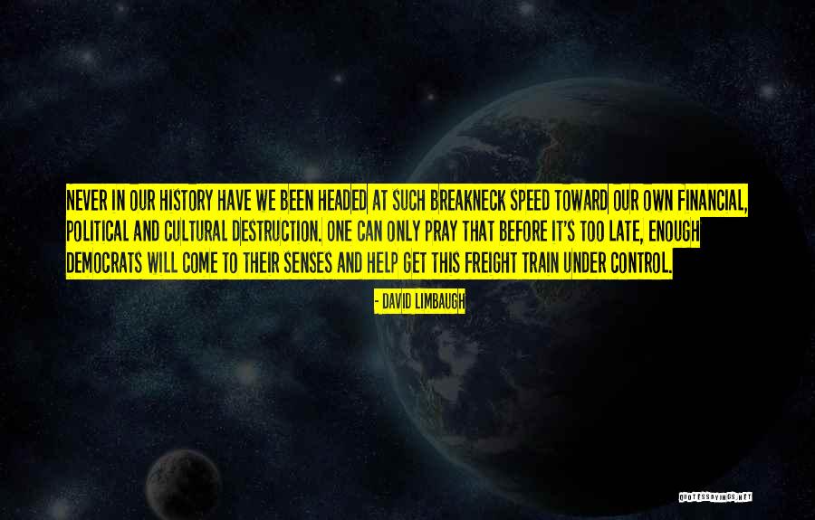 What You Allow What You Confront Quotes By David Limbaugh What You Allow What You Confront Quotes By David Limbaugh