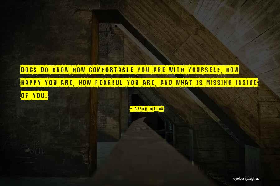 What You Are Missing Quotes By Cesar Millan What You Are Missing Quotes By Cesar Millan
