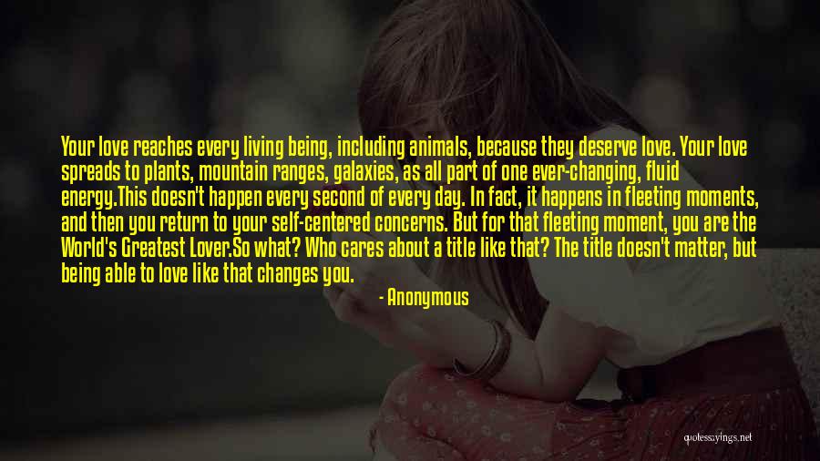 What You Deserve In Love Quotes By Anonymous