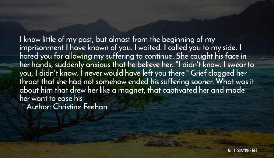 What You Did In The Past Quotes By Christine Feehan
