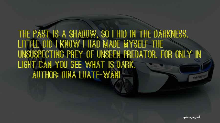 What You Did In The Past Quotes By Dina Luate-Wani