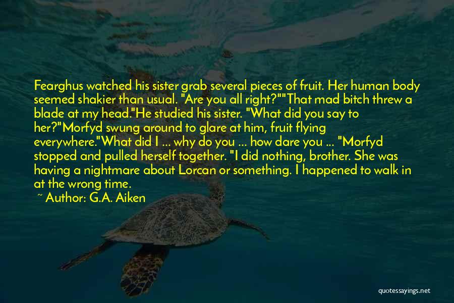 What You Did Was Wrong Quotes By G.A. Aiken