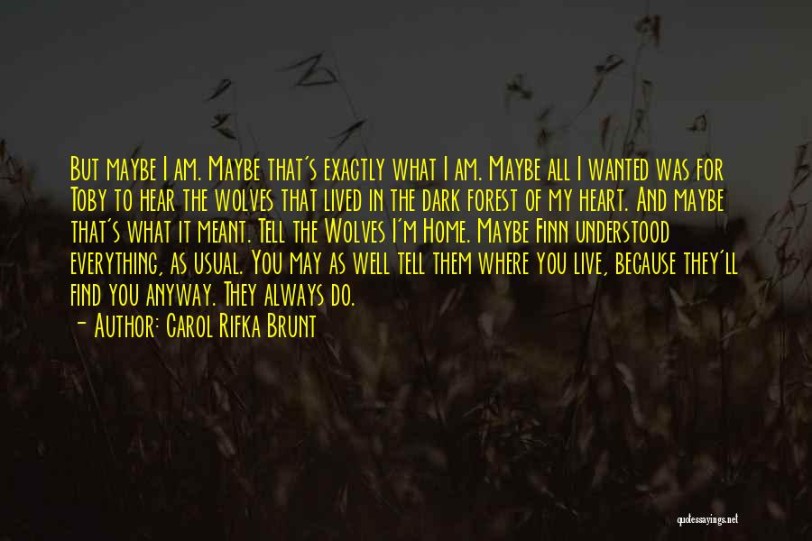 What You Do In The Dark Quotes By Carol Rifka Brunt
