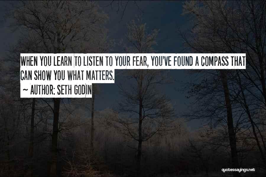 What You Fear Quotes By Seth Godin