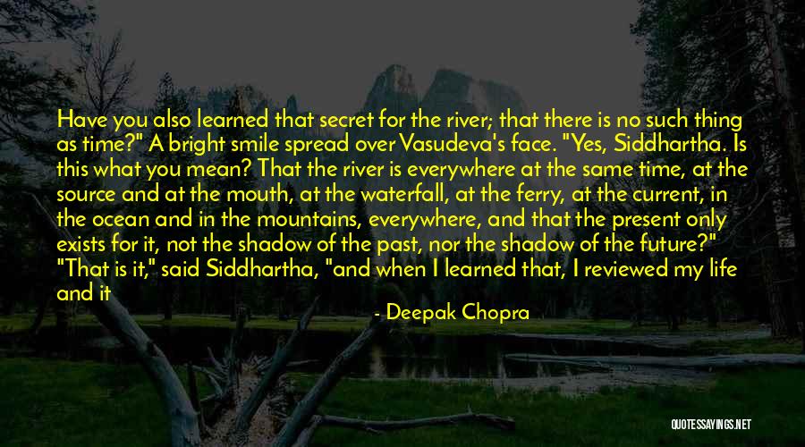 What You Have Learned In Life Quotes By Deepak Chopra What You Have Learned In Life Quotes By Deepak Chopra
