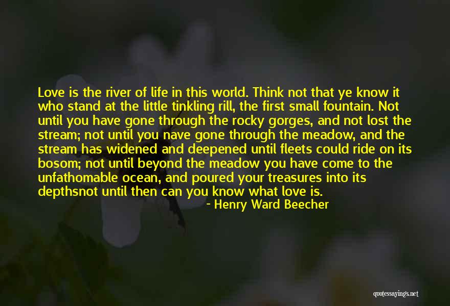 What You Have Until It's Gone Quotes By Henry Ward Beecher What You Have Until It's Gone Quotes By Henry Ward Beecher