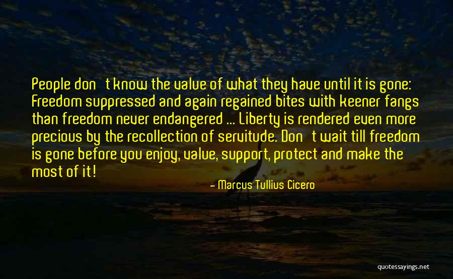 What You Have Until It's Gone Quotes By Marcus Tullius Cicero What You Have Until It's Gone Quotes By Marcus Tullius Cicero