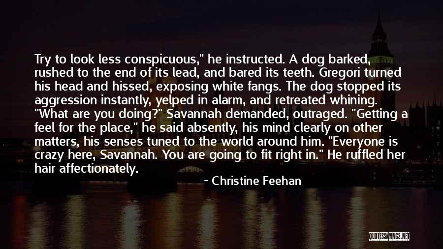 What You Look For Quotes By Christine Feehan What You Look For Quotes By Christine Feehan