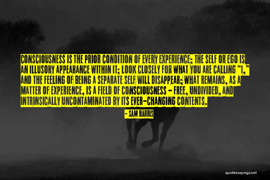 What You Look For Quotes By Sam Harris What You Look For Quotes By Sam Harris