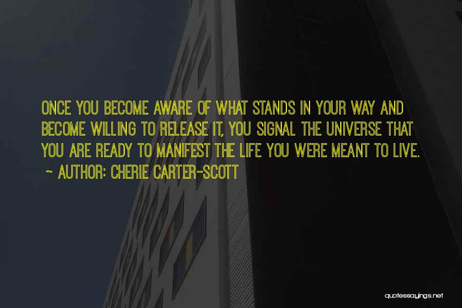 What You Manifest Quotes By Cherie Carter-Scott