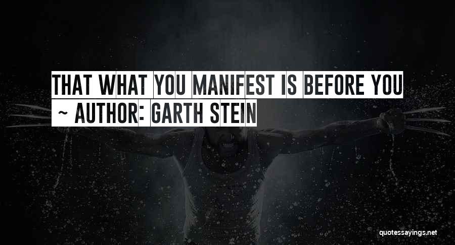 What You Manifest Quotes By Garth Stein