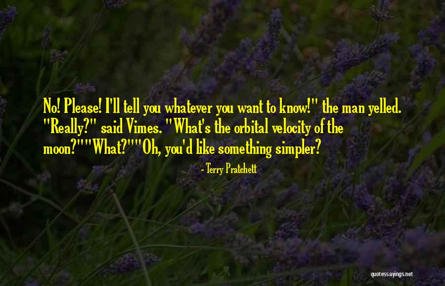 What You Really Want Quotes By Terry Pratchett