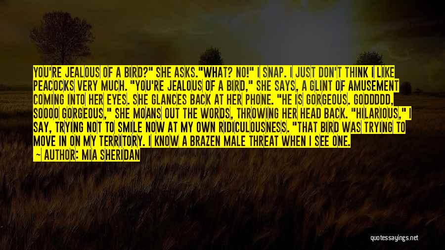 What You See In My Eyes Quotes By Mia Sheridan