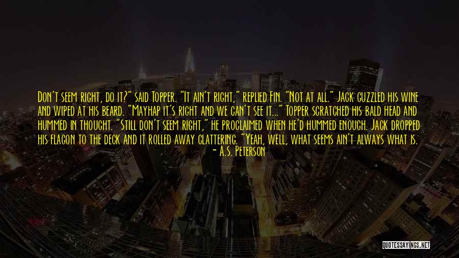 What You See Is Not Always What It Seems Quotes By A.S. Peterson What You See Is Not Always What It Seems Quotes By A.S. Peterson