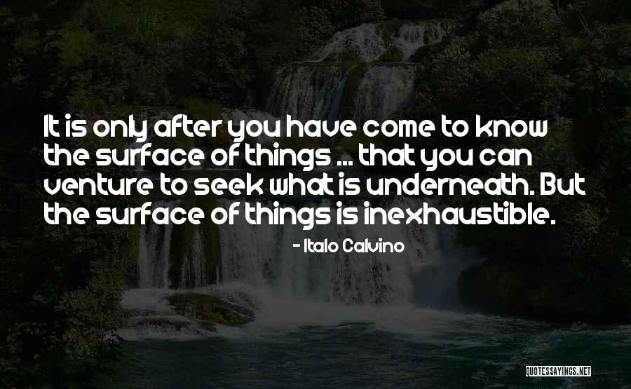 What You Seek Quotes By Italo Calvino What You Seek Quotes By Italo Calvino