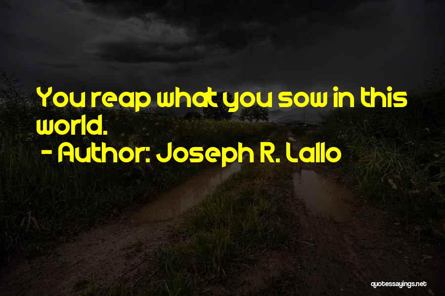 What You Sow So Shall You Reap Quotes By Joseph R. Lallo